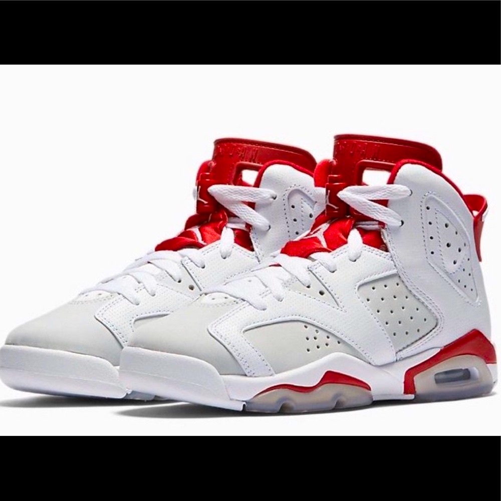Air Jordan 6 Alternate Hare